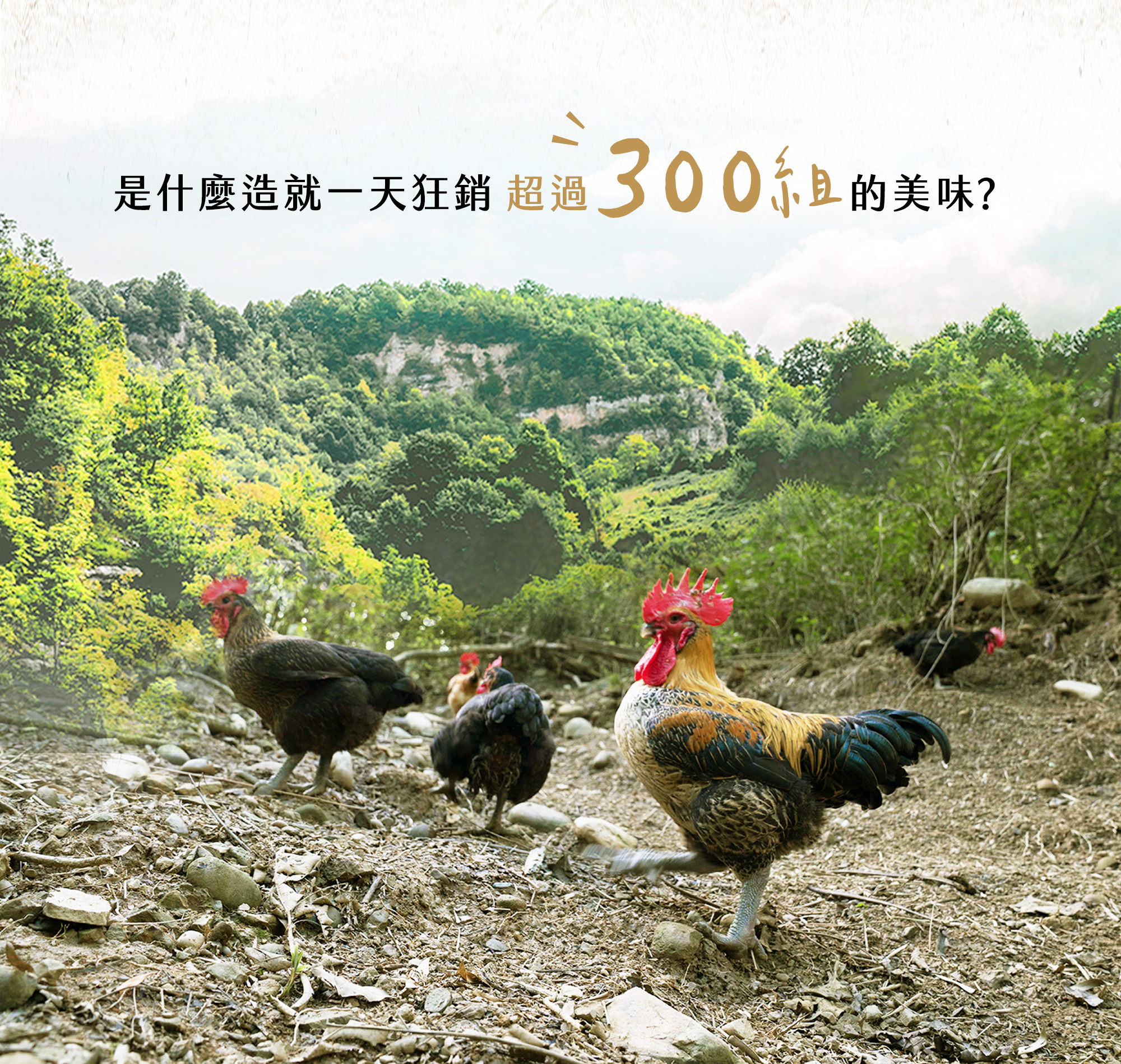 是什麼造就一天狂銷300組的美味