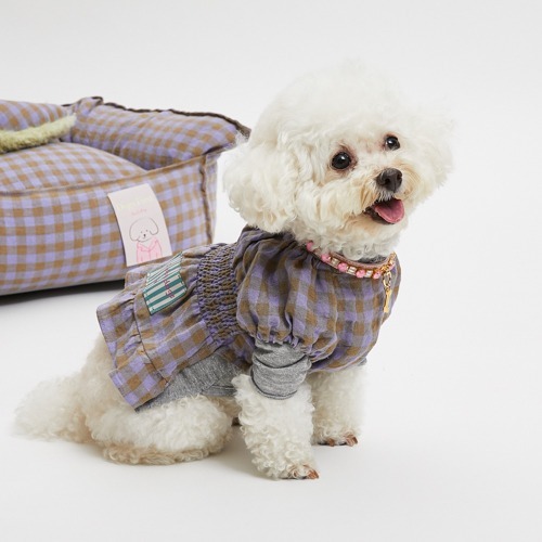 Louisdog 喜愛的格子洋裝