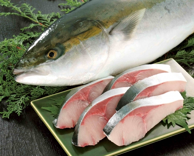 鰤魚ブリ