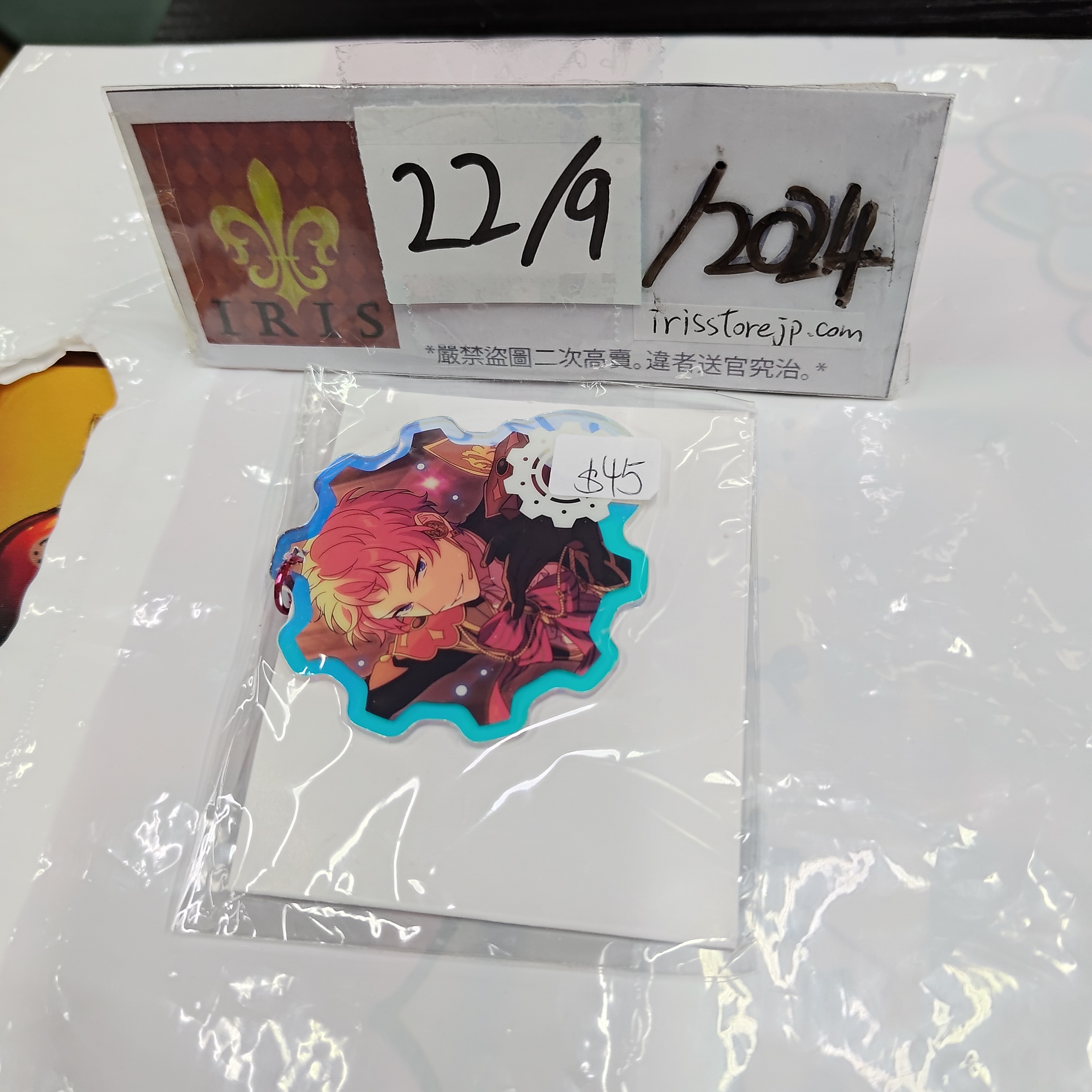 ES 宗 掛件 VK 22/9