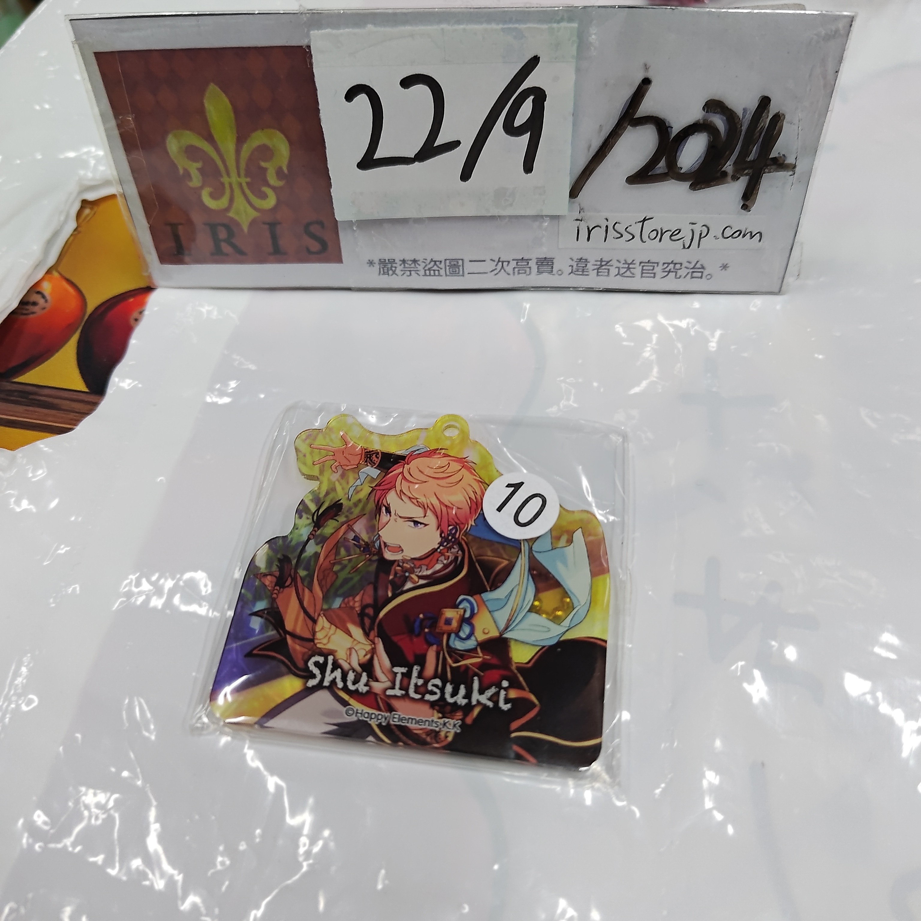 ES 宗 掛件 VK 22/9