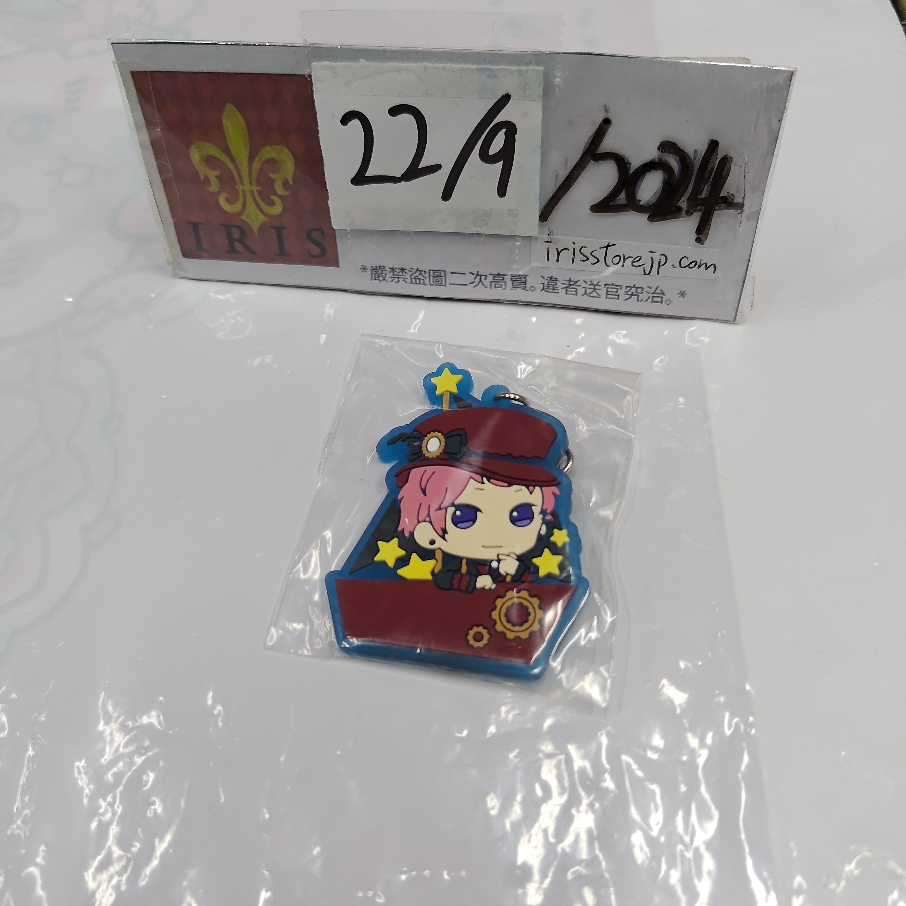 ES 宗 掛件 VK 22/9