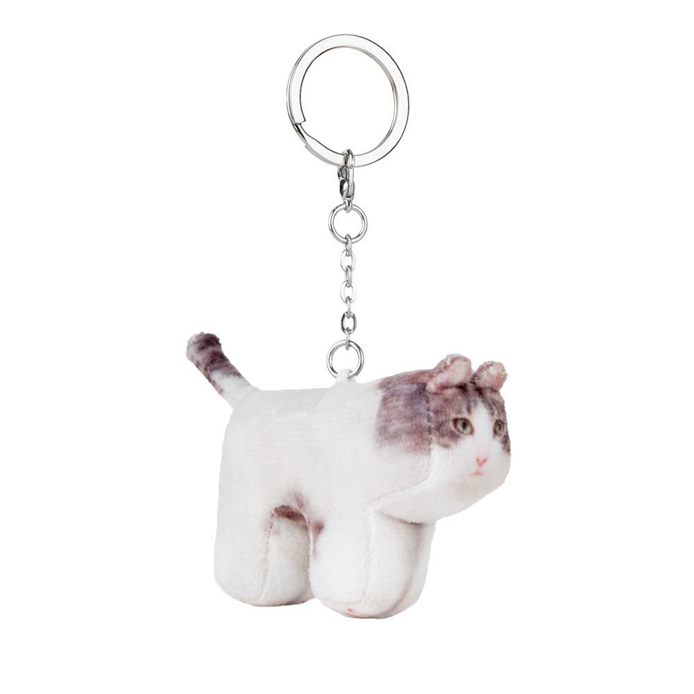 Soft thumbnail Milk, Domestic Shorthair