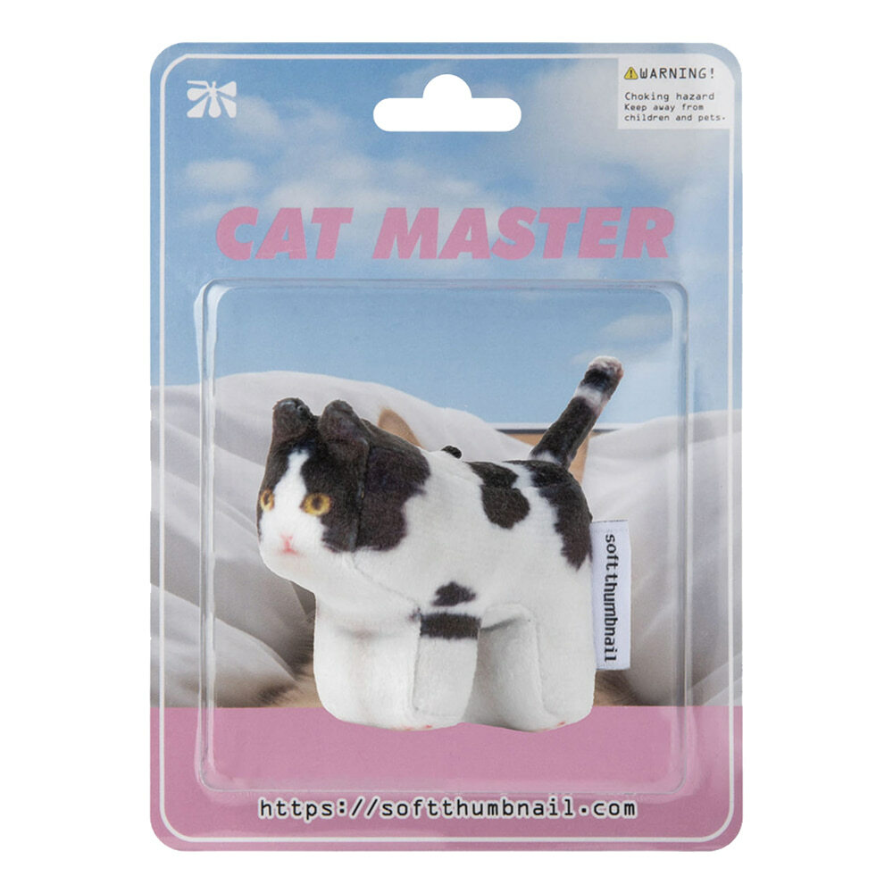 【SOFT THUMBNAIL】 Mumu, Domestic Shorthair Soft thumbnail Mumu, Domestic Shorthair