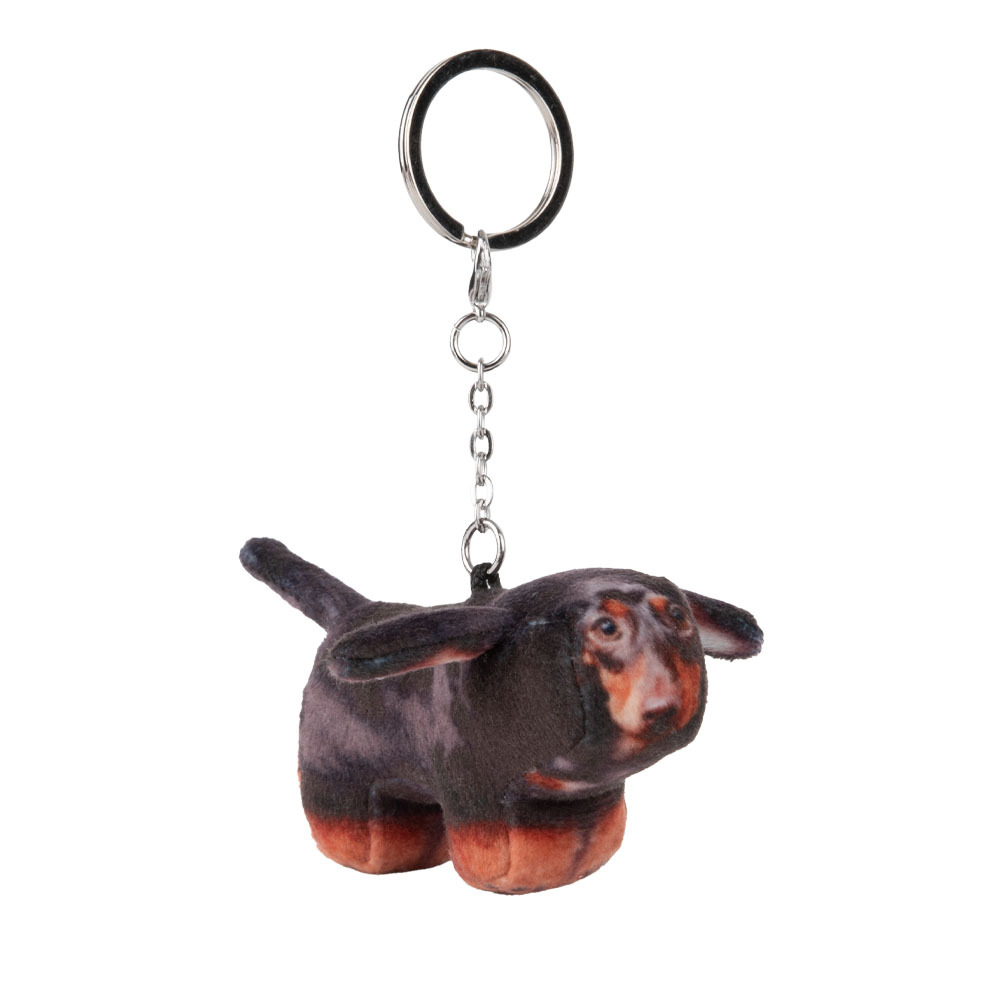 Soft thumbnail Duke, Dachshund