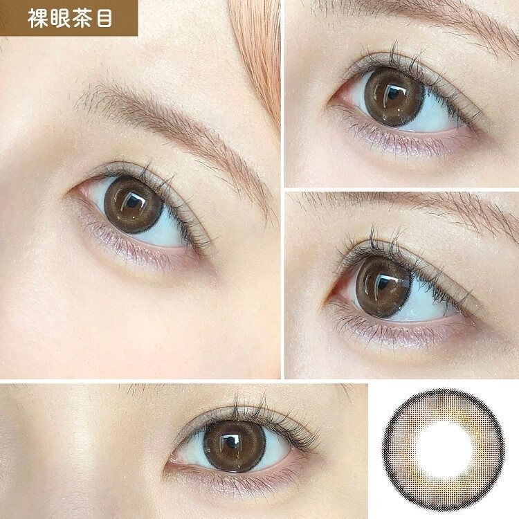 [日拋] Lemieu 1 Day Real Brownie 彩妝隱形眼鏡｜每盒10片