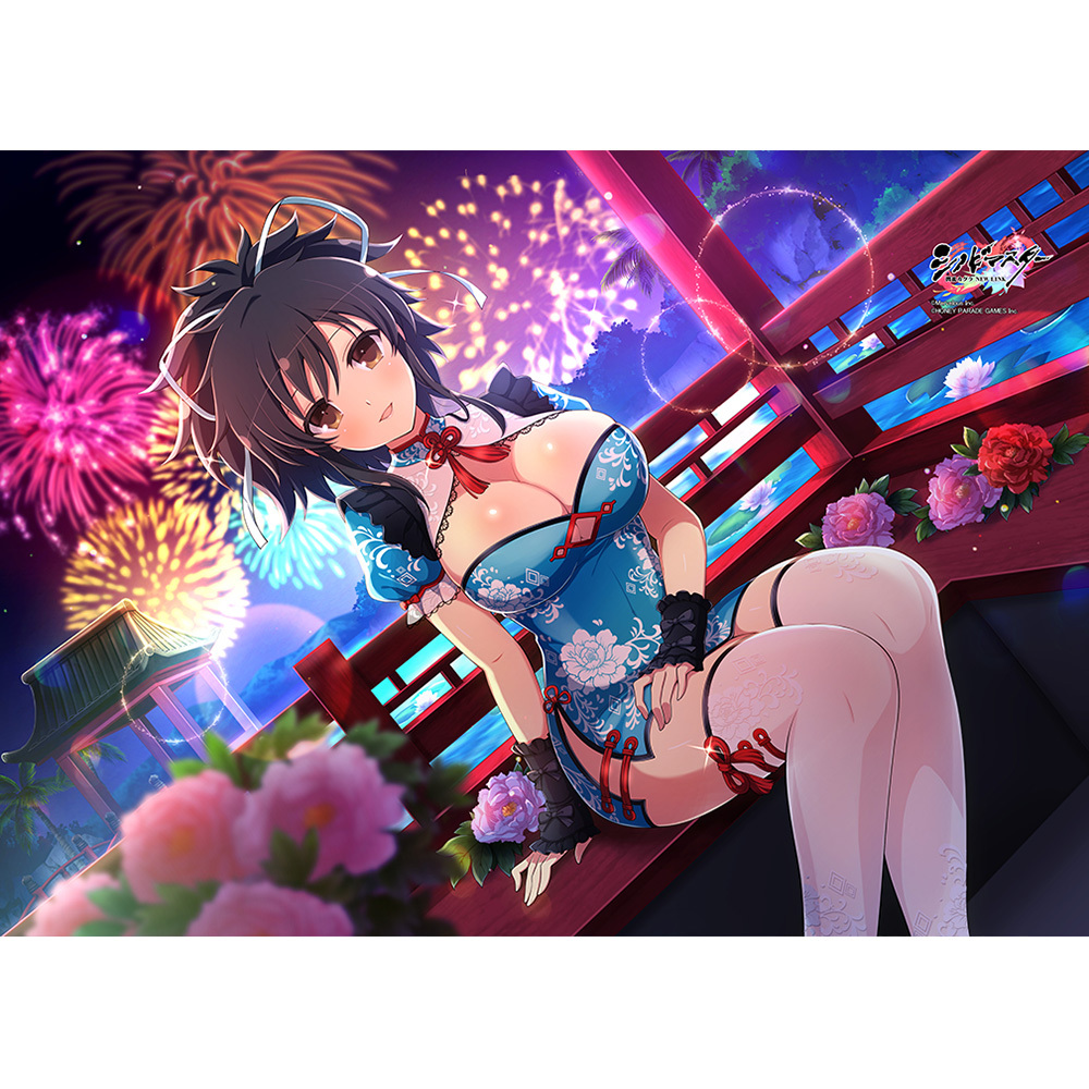 「ACG.GO 」「預購」日版 Curtain Tamashii 忍者大師閃亂神樂NEW LINK B2掛布/ 毛毯/ 床單/ 被單