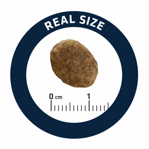 ADVANCE 愛旺斯 - 處方糧 - 泌尿專用乾糧 Urinary 1.5kg