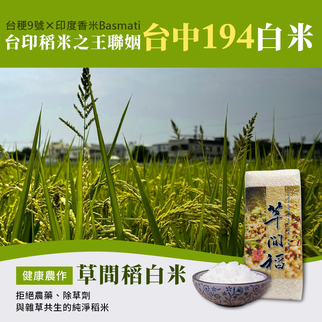 草間稻—白米【台中194 新米】購買3包以上請選宅配