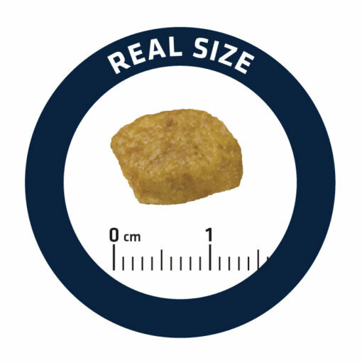 ADVANCE 愛旺斯 - 處方糧 - 腎臟專用乾糧 Renal 1.5kg