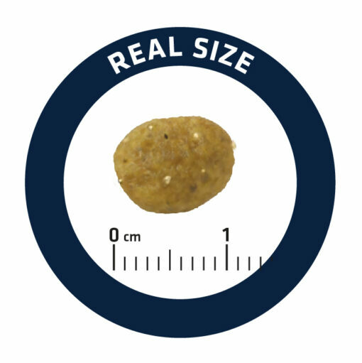 ADVANCE 愛旺斯 - 處方糧 - 腸胃專用乾糧 Gastroenteric Sensitive 1.5kg