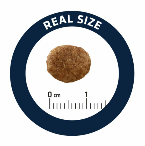 ADVANCE 愛旺斯 - 處方糧 - 泌尿/壓力專用乾糧 Urinary Stress 1.25kg