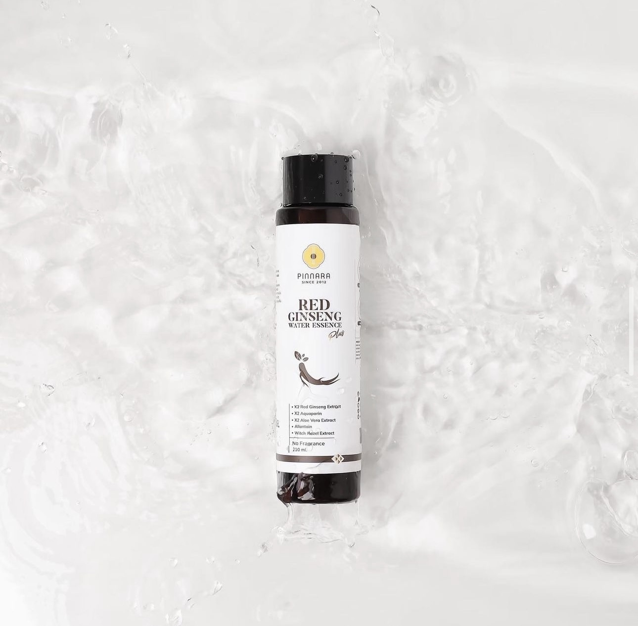 PINNARA - 紅參水精華