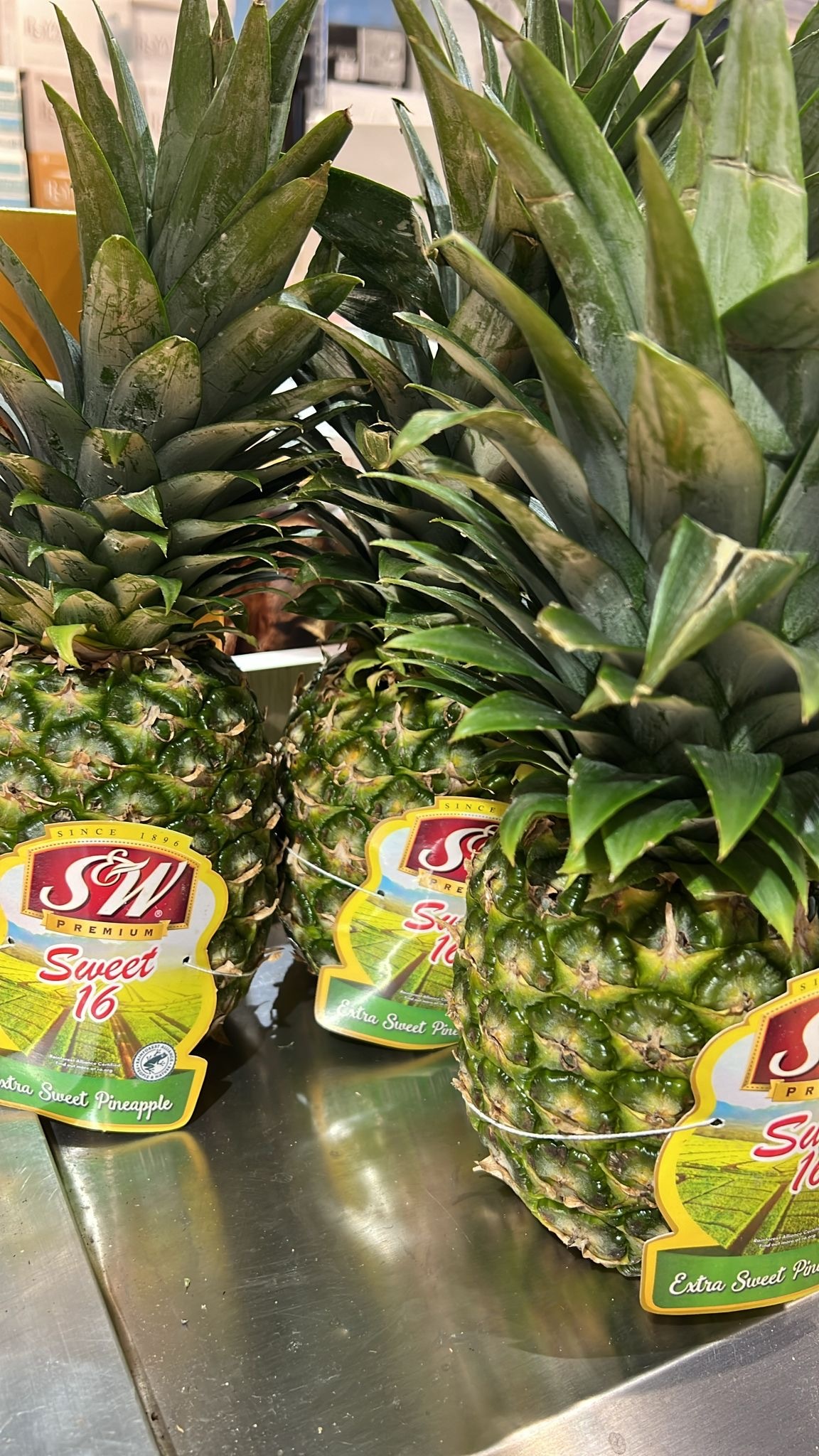 bless - Fruit- SW 菠蘿