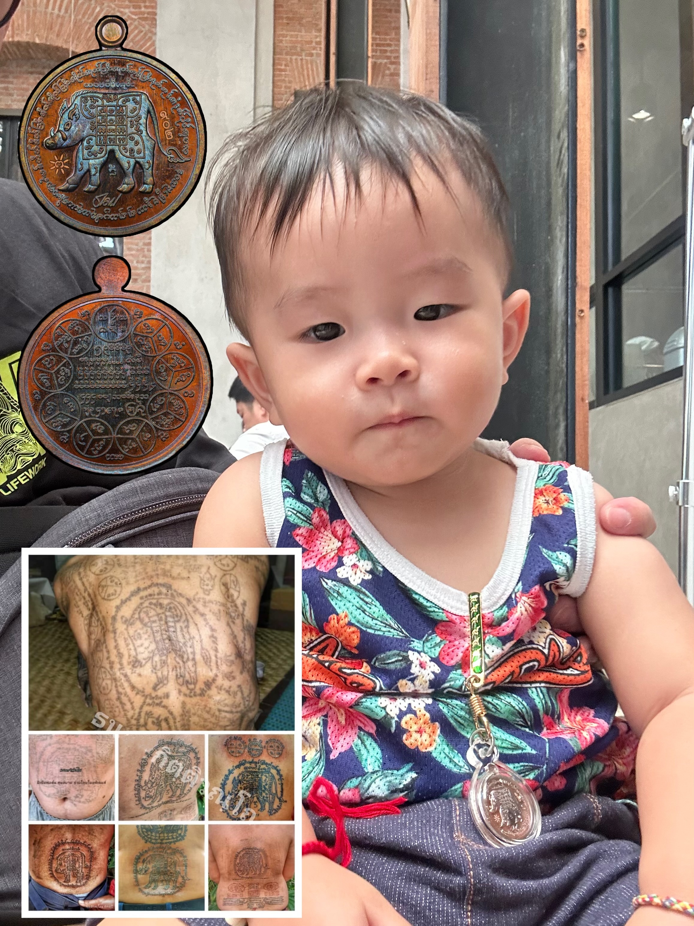 泰北大師 婆難登 富貴好命豬 🐖