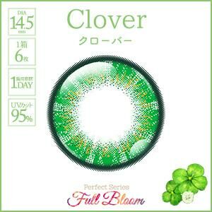 [日拋] Perfect Series Full Bloom 1Day Clover 彩妝隱形眼鏡｜每盒6片