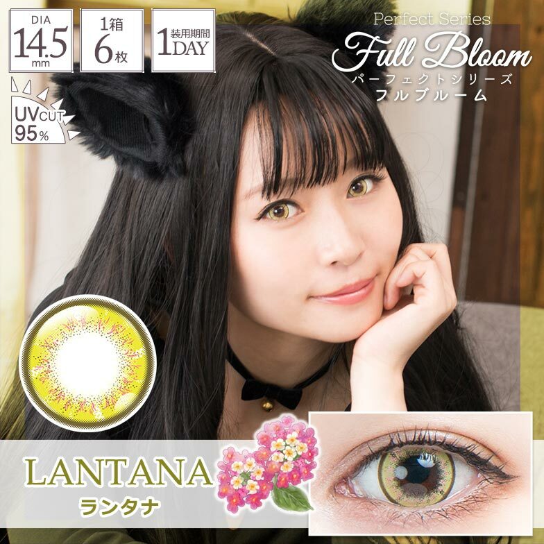 [日拋] Perfect Series Full Bloom 1Day LANTANA 彩妝隱形眼鏡｜每盒6片