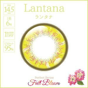 [日拋] Perfect Series Full Bloom 1Day LANTANA 彩妝隱形眼鏡｜每盒6片
