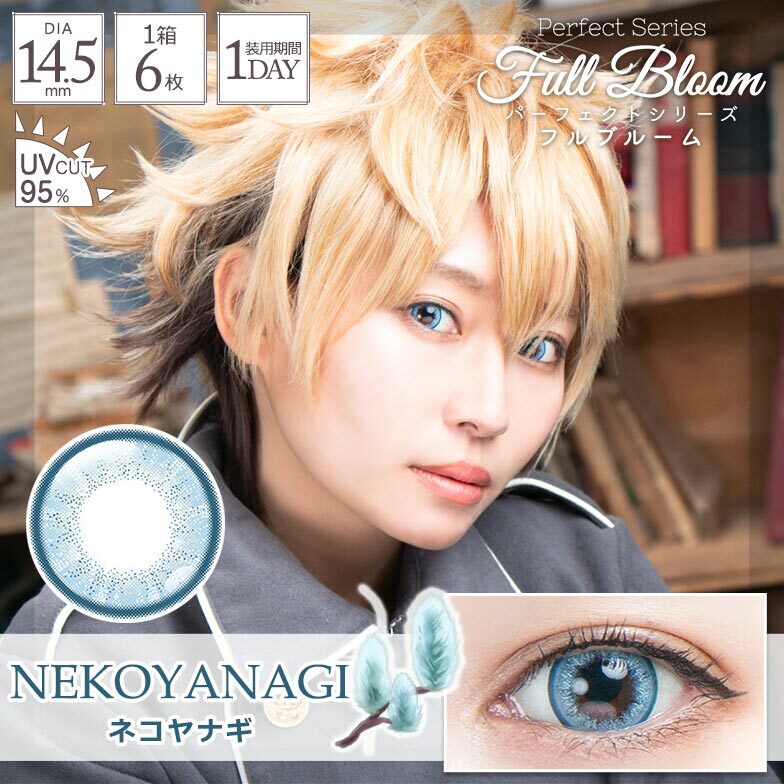 [日拋] Perfect Series Full Bloom 1Day NEKOYANAGI 彩妝隱形眼鏡｜每盒6片