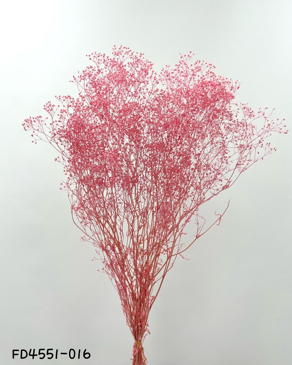 日本不凋迷你滿天星 FD4551-016