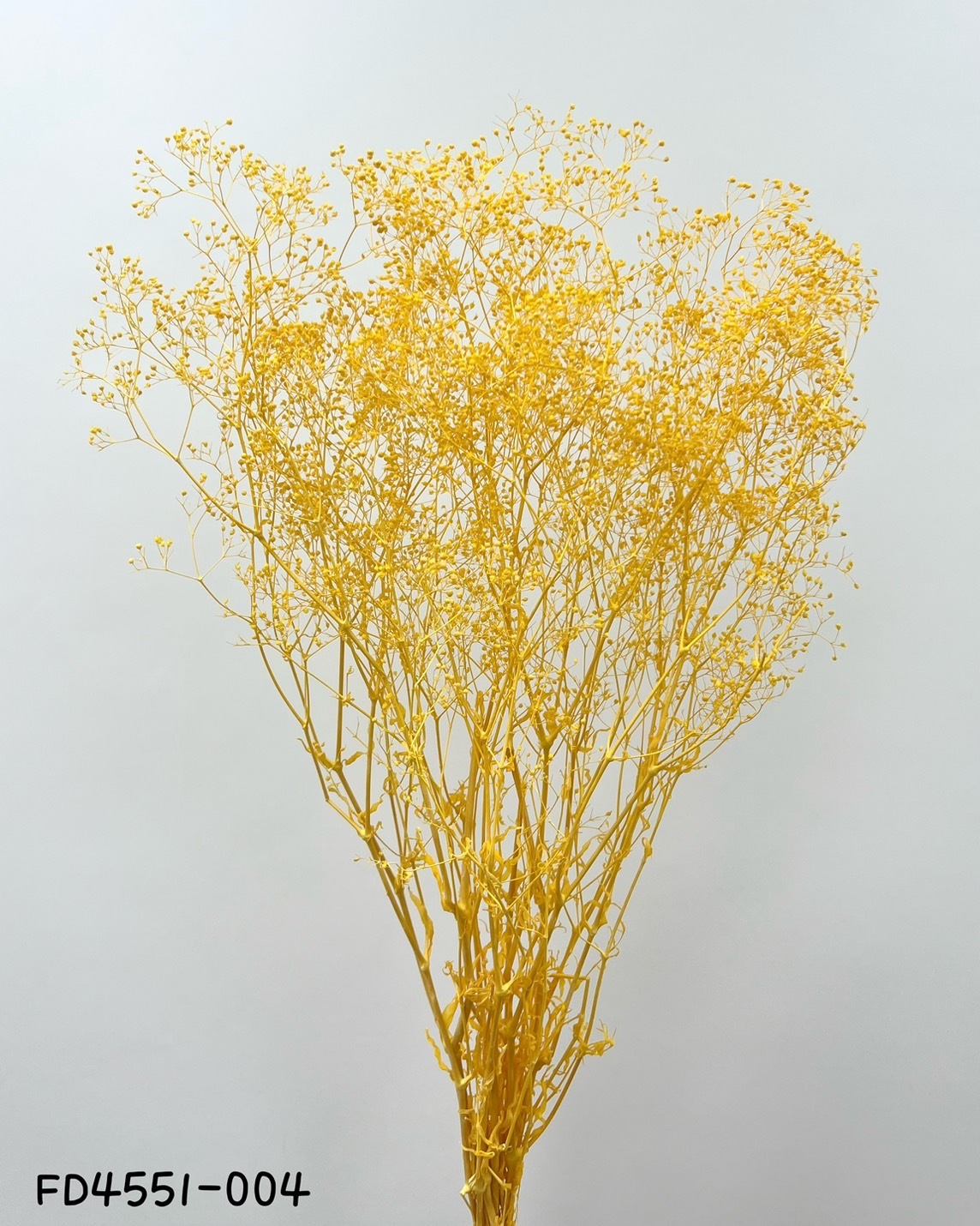 日本不凋迷你滿天星 FD4551-004