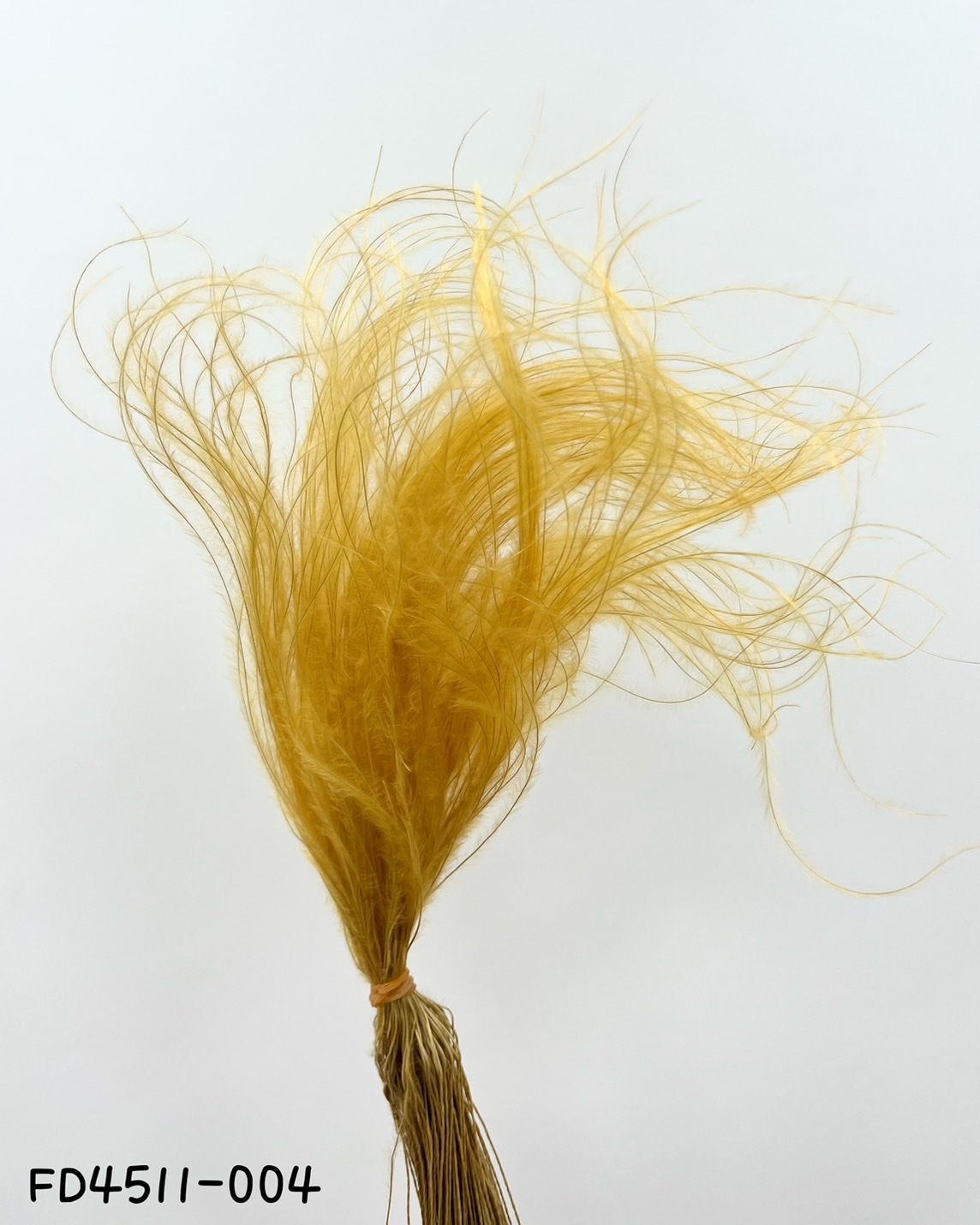 日本乾燥羽毛草 FD4511-4