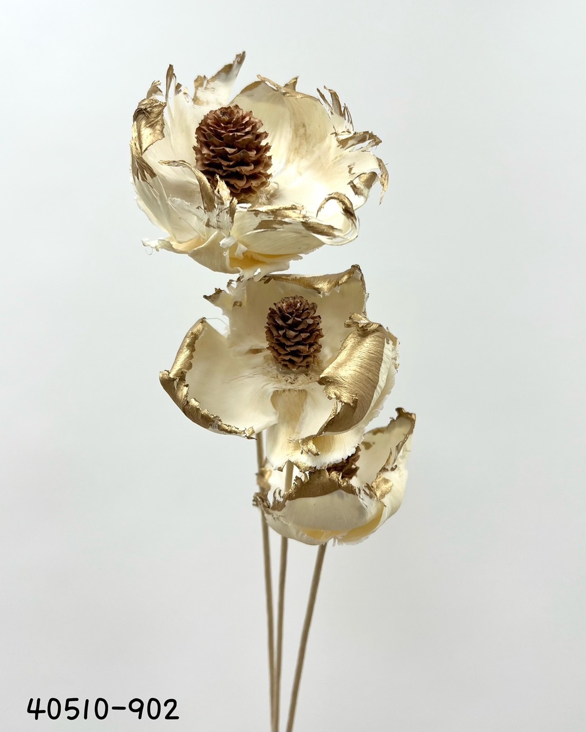 日本松牡丹 40510-902