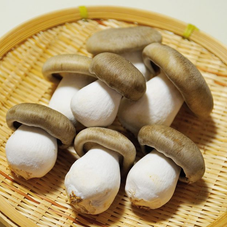 大黒本シメジ