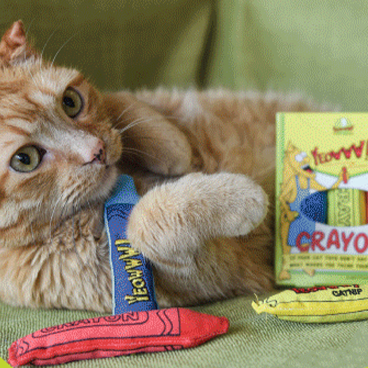 Yeowww! 組合款｜貓草玩具