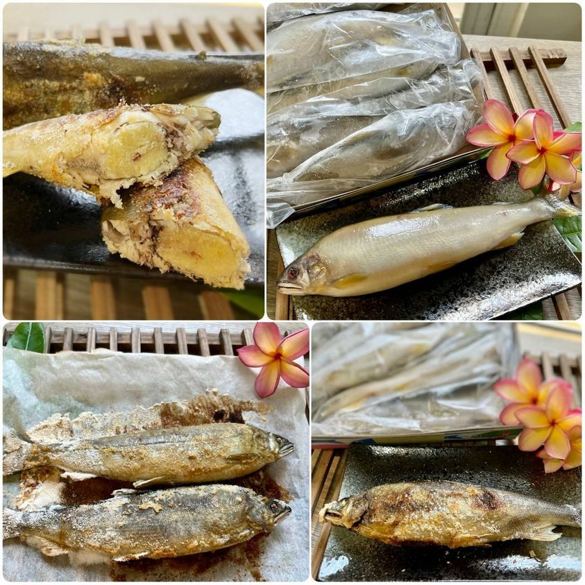 台灣香魚系列
