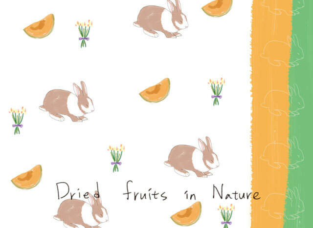 幸福果舖 Taste Sweety - 哈密兔水果乾小禮盒