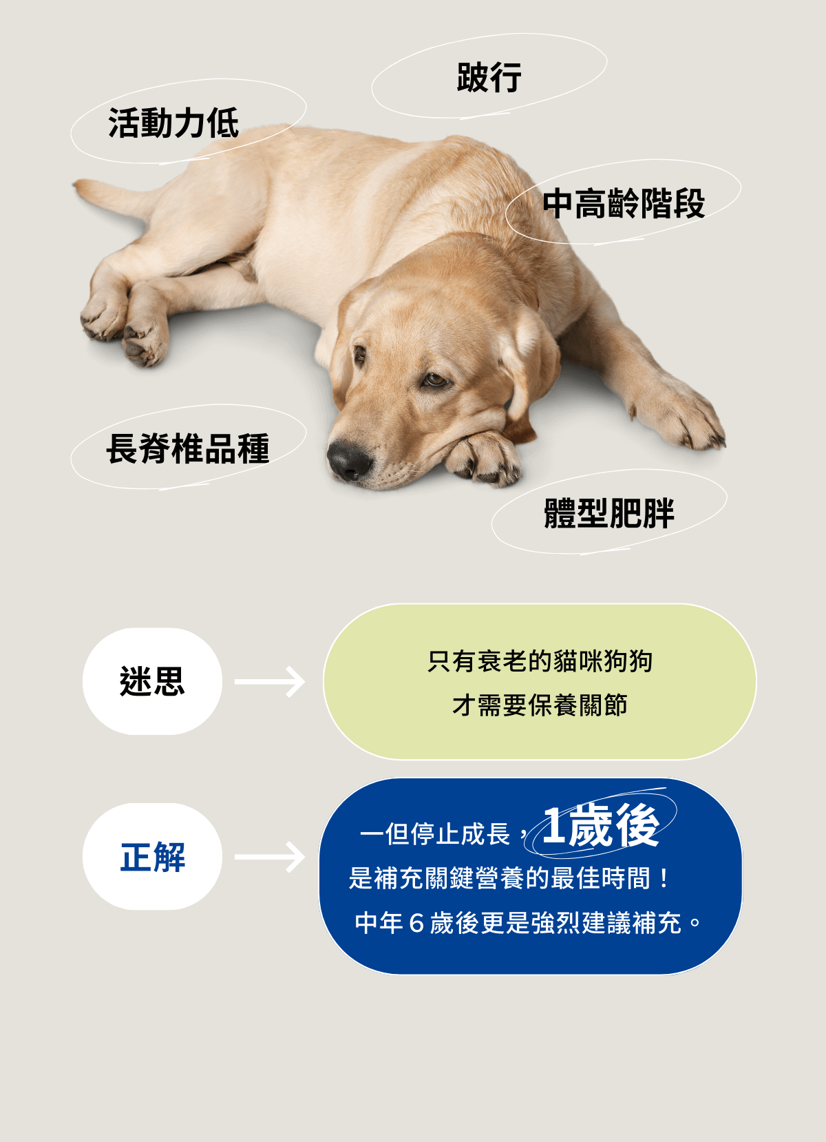 一歲後開始補充UC2預防是關鍵