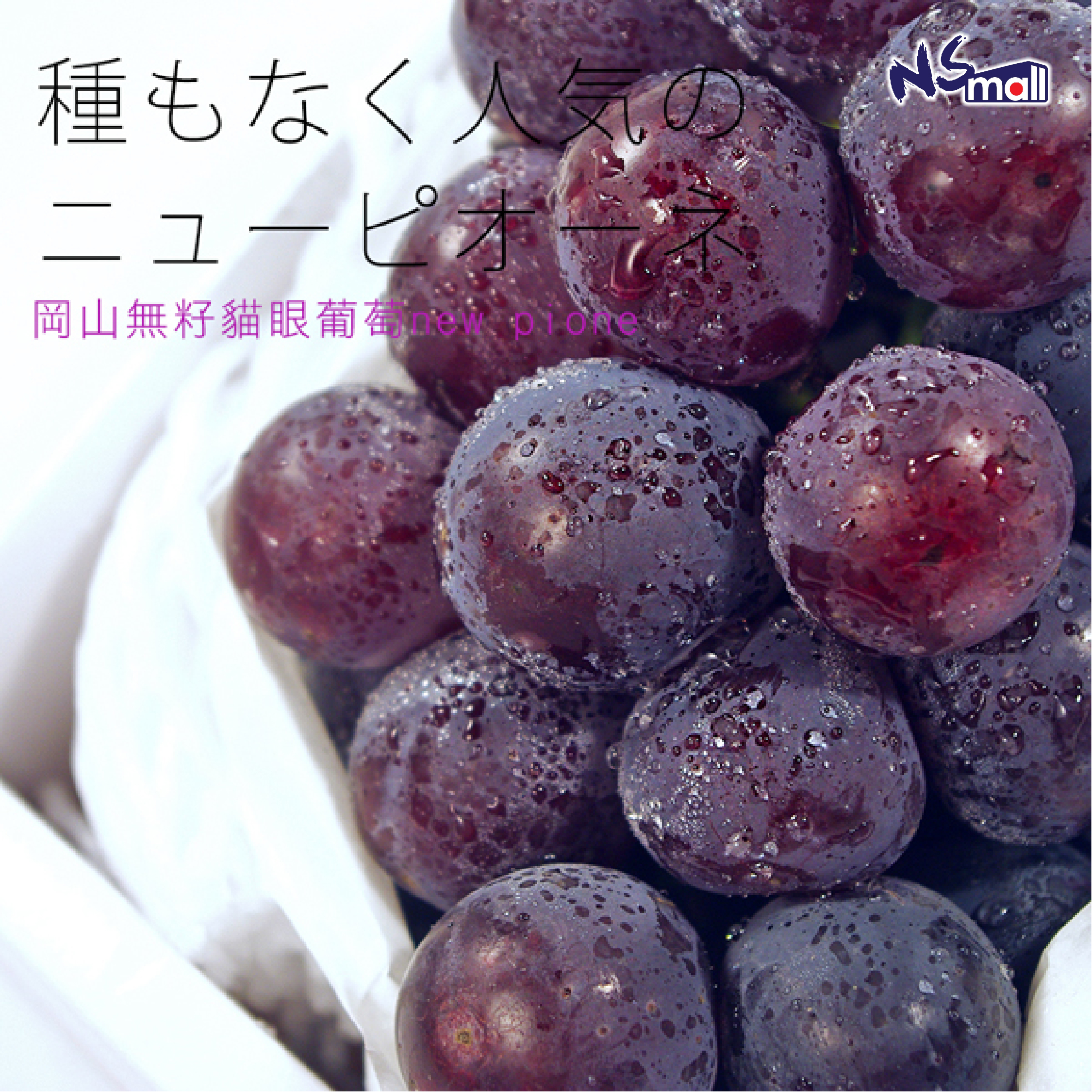 岡山PIONE葡萄 約5kg/箱 (青秀6-8房)