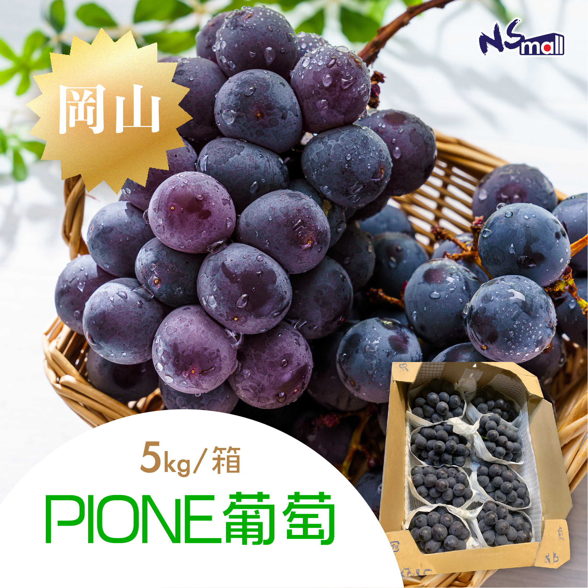 岡山PIONE葡萄 約5kg/箱 (青秀6-8房)