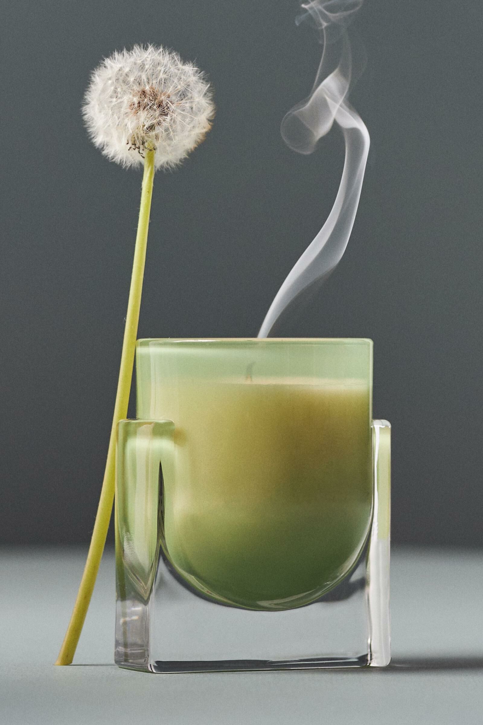 Coriander&Fig Leaf美國 綠摩登手工蠟燭- 雪松＋橡木