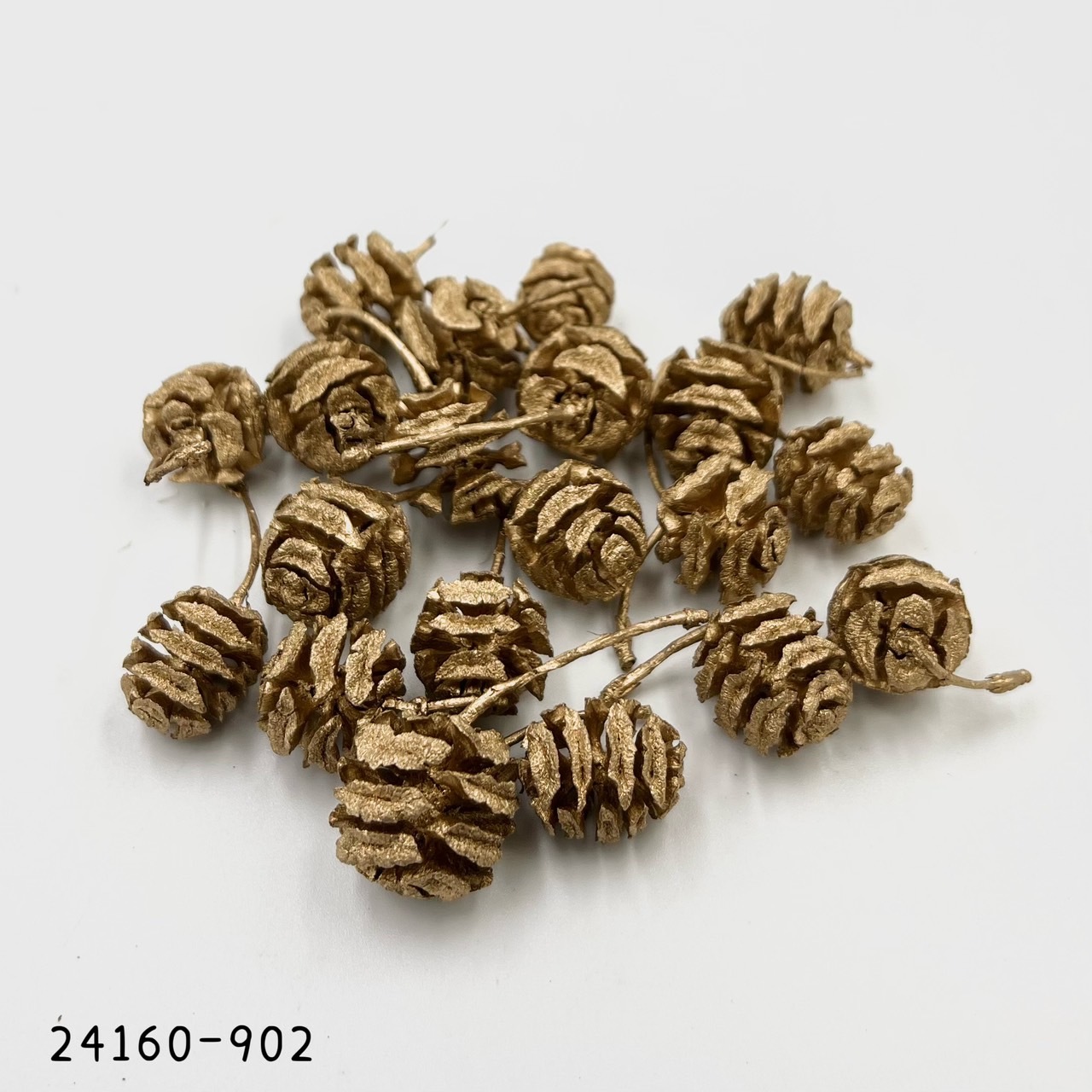 日本水杉果實 24160-902