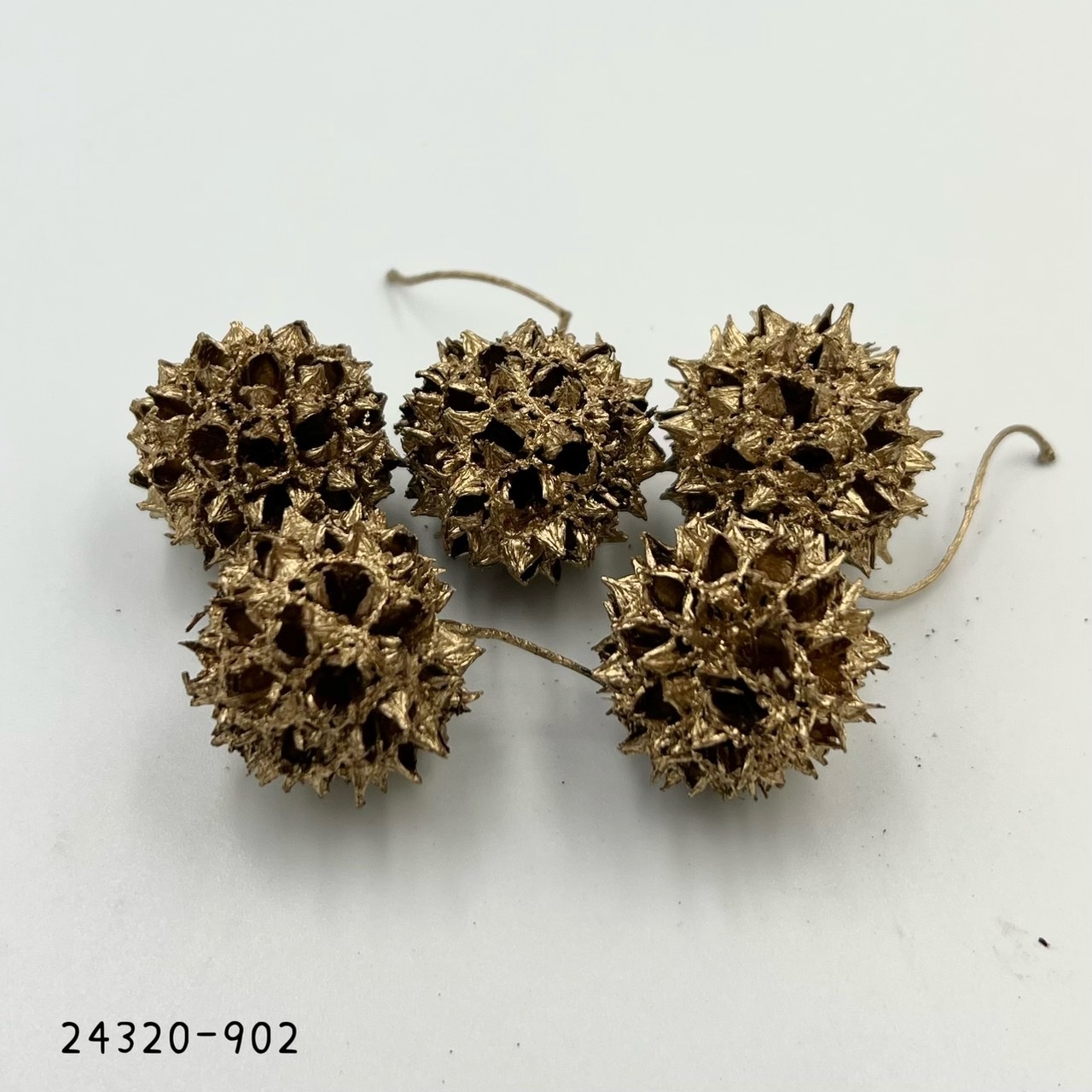 日本楓香果 24320-902