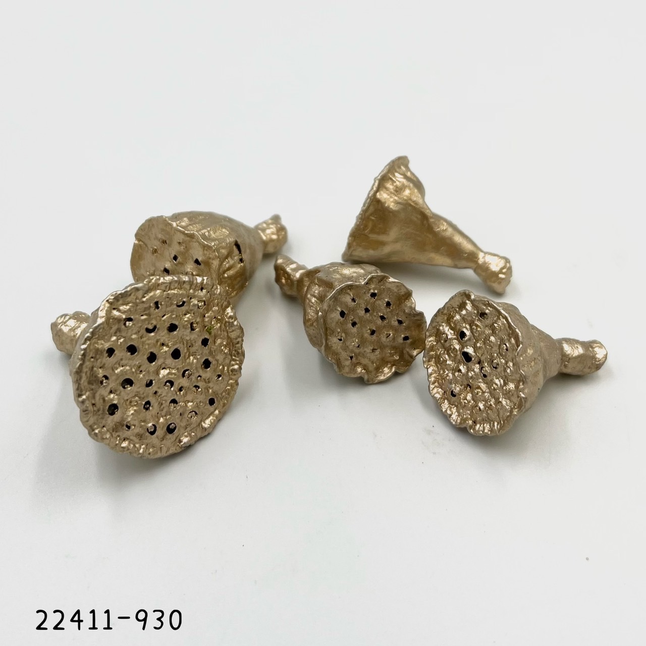 日本蓮蓬 22411-930