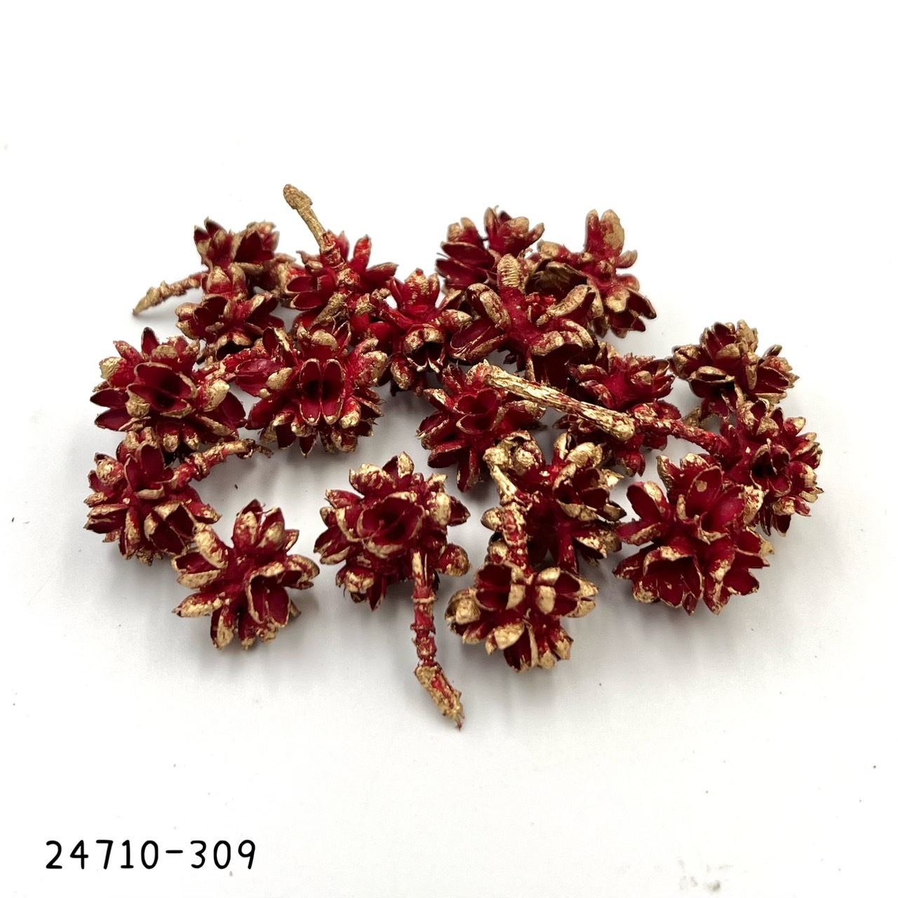 日本花核果 24710-309