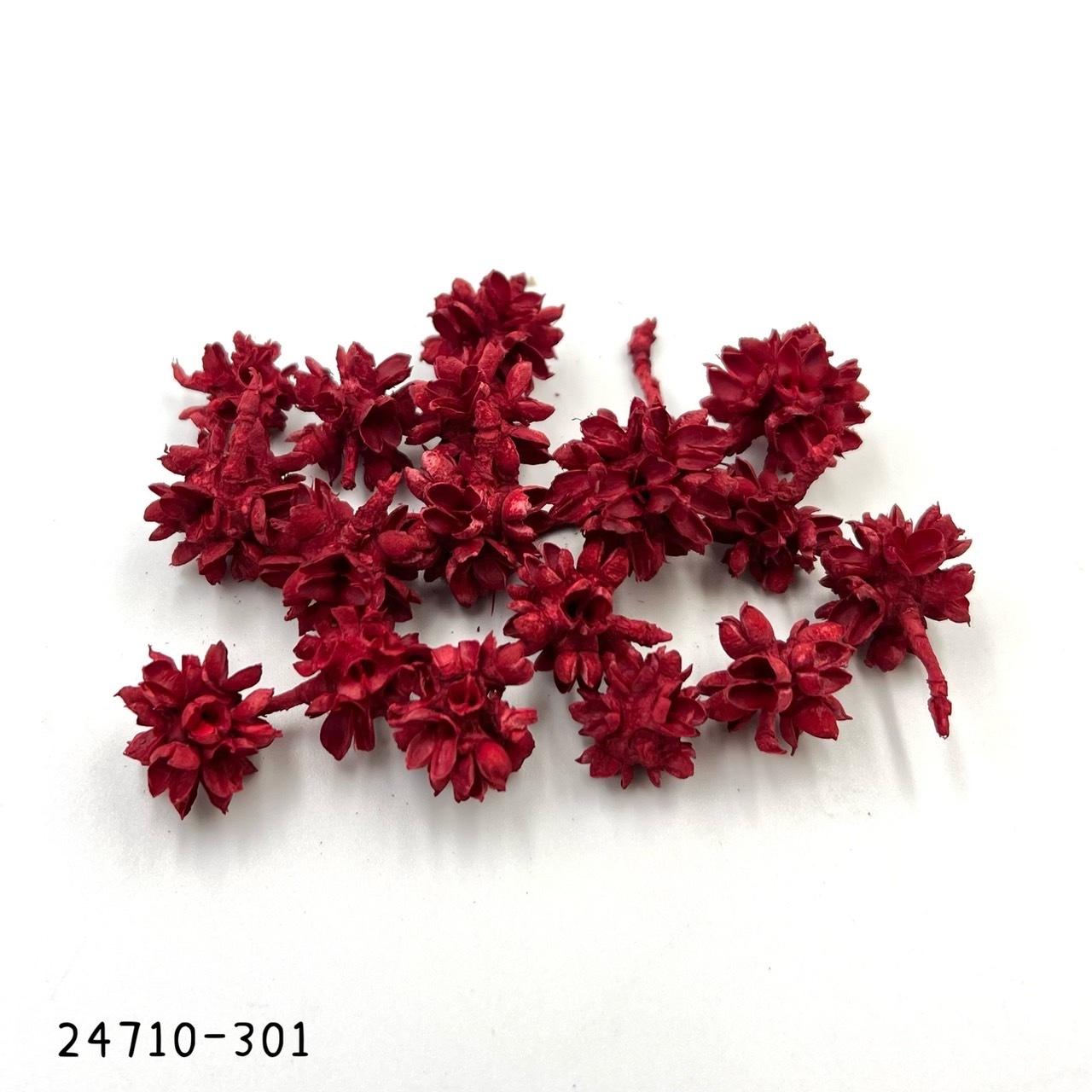 日本花核果 24710-301