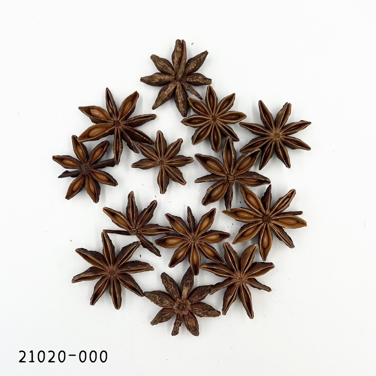 日本原色八角 21020-000