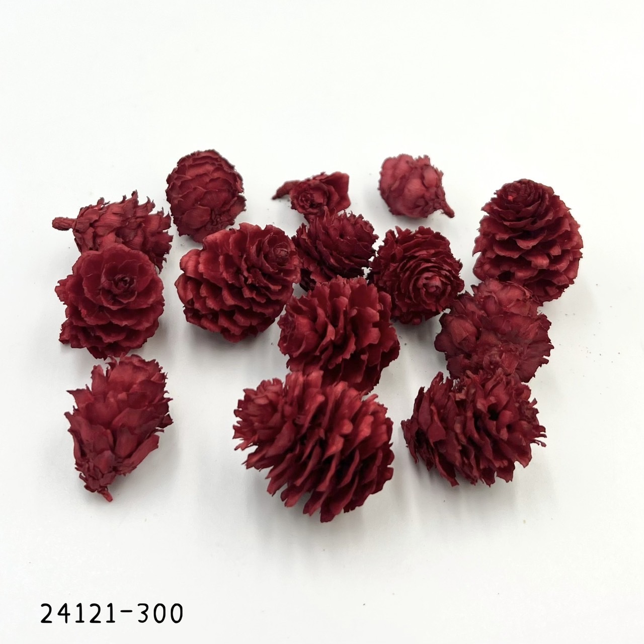 日本乾燥落羽松松果 24121-300