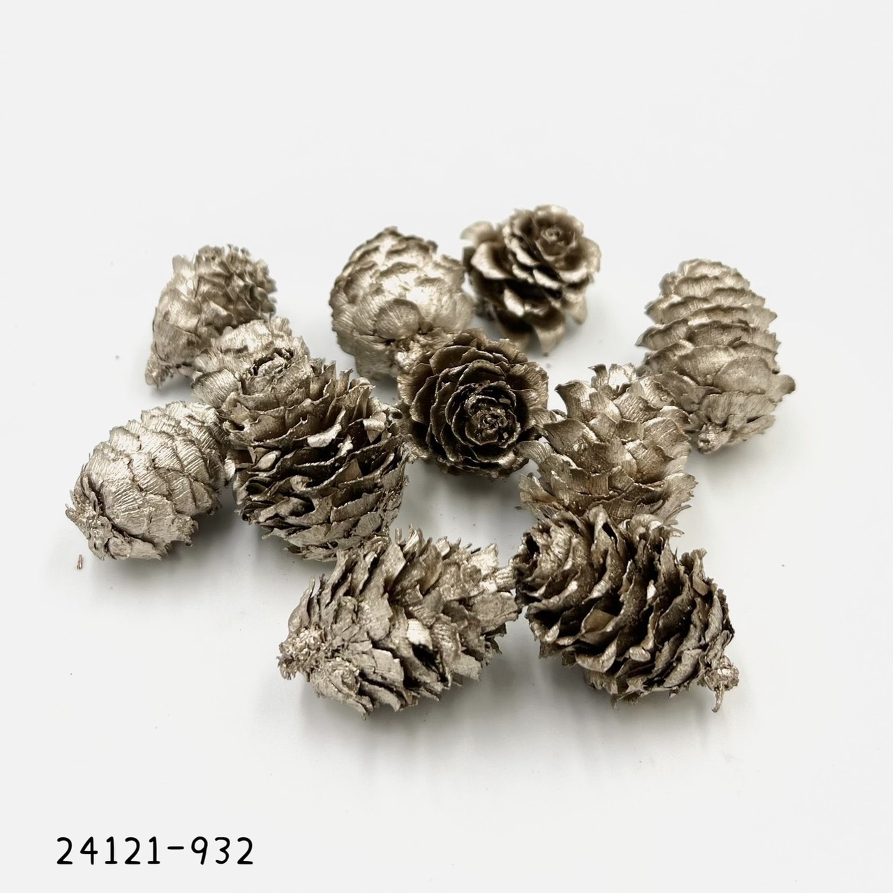 日本乾燥落羽松松果 24121-932