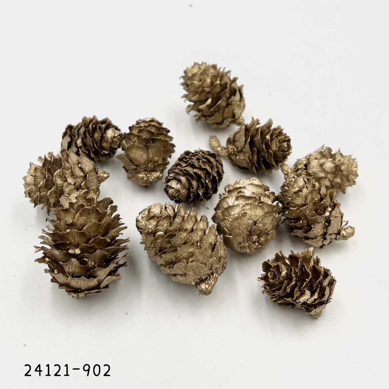 日本乾燥落羽松松果 24121-902