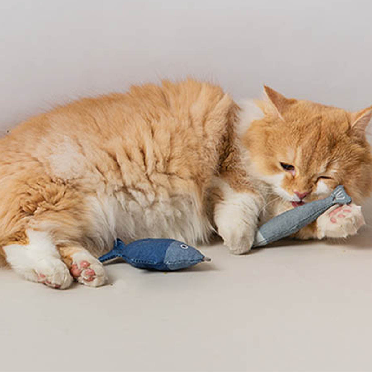 ENVY COLLECTION 貓草玩具