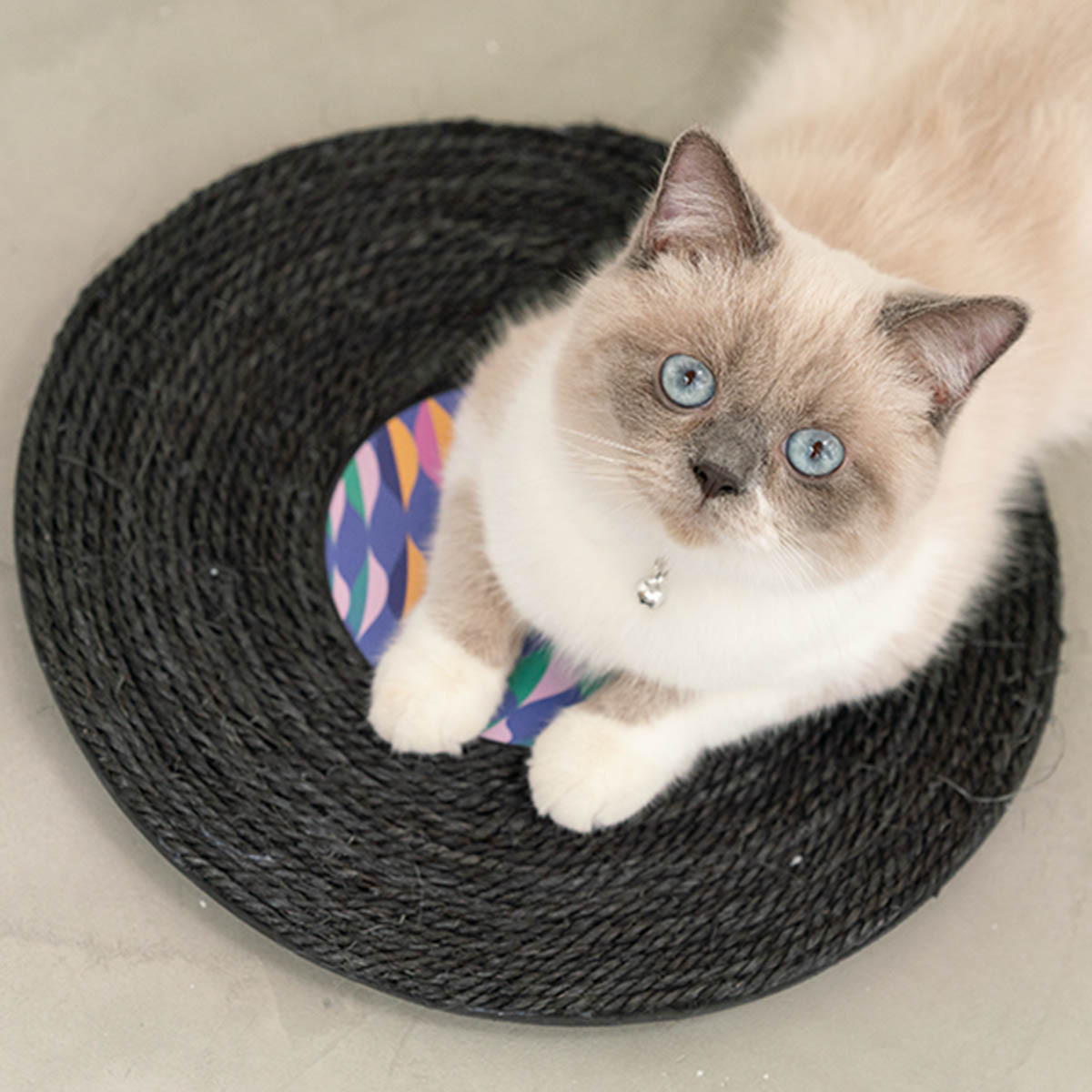 ENVY COLLECTION 唱片貓抓板