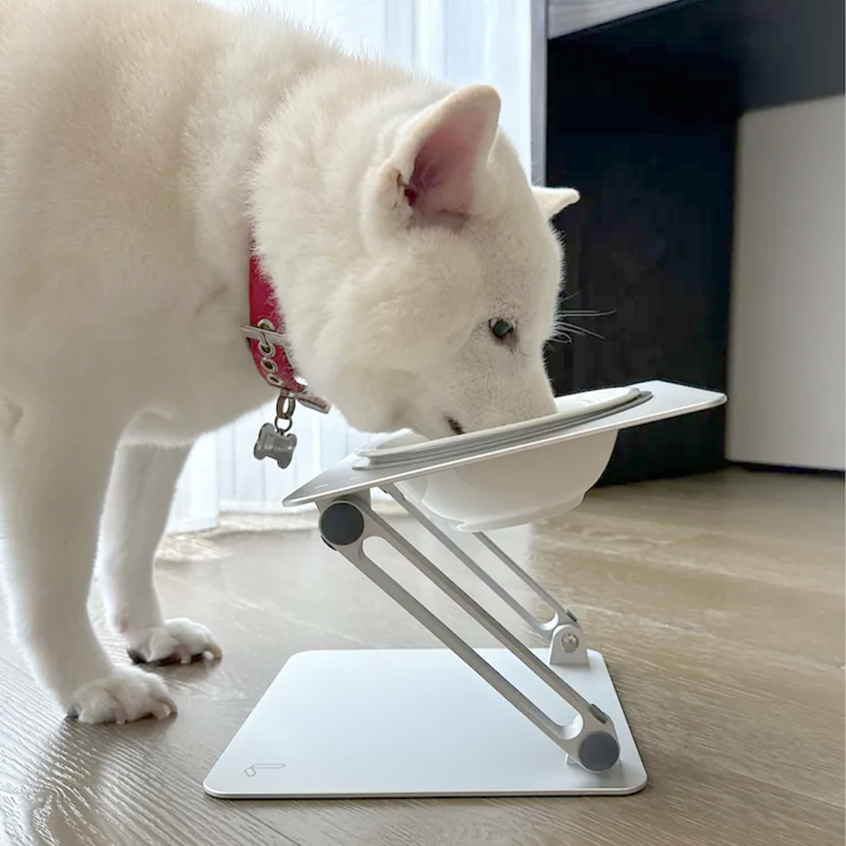 LINGO 成長寵物碗架