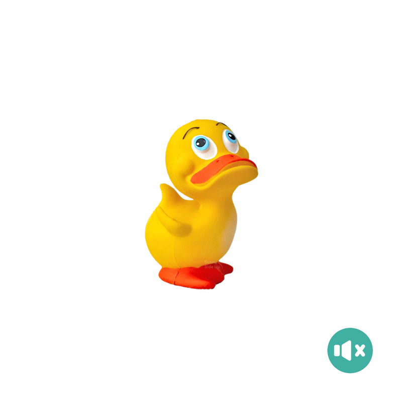 【 Lanco 】天然無毒橡膠玩具-小黃鴨【不會啾系列】