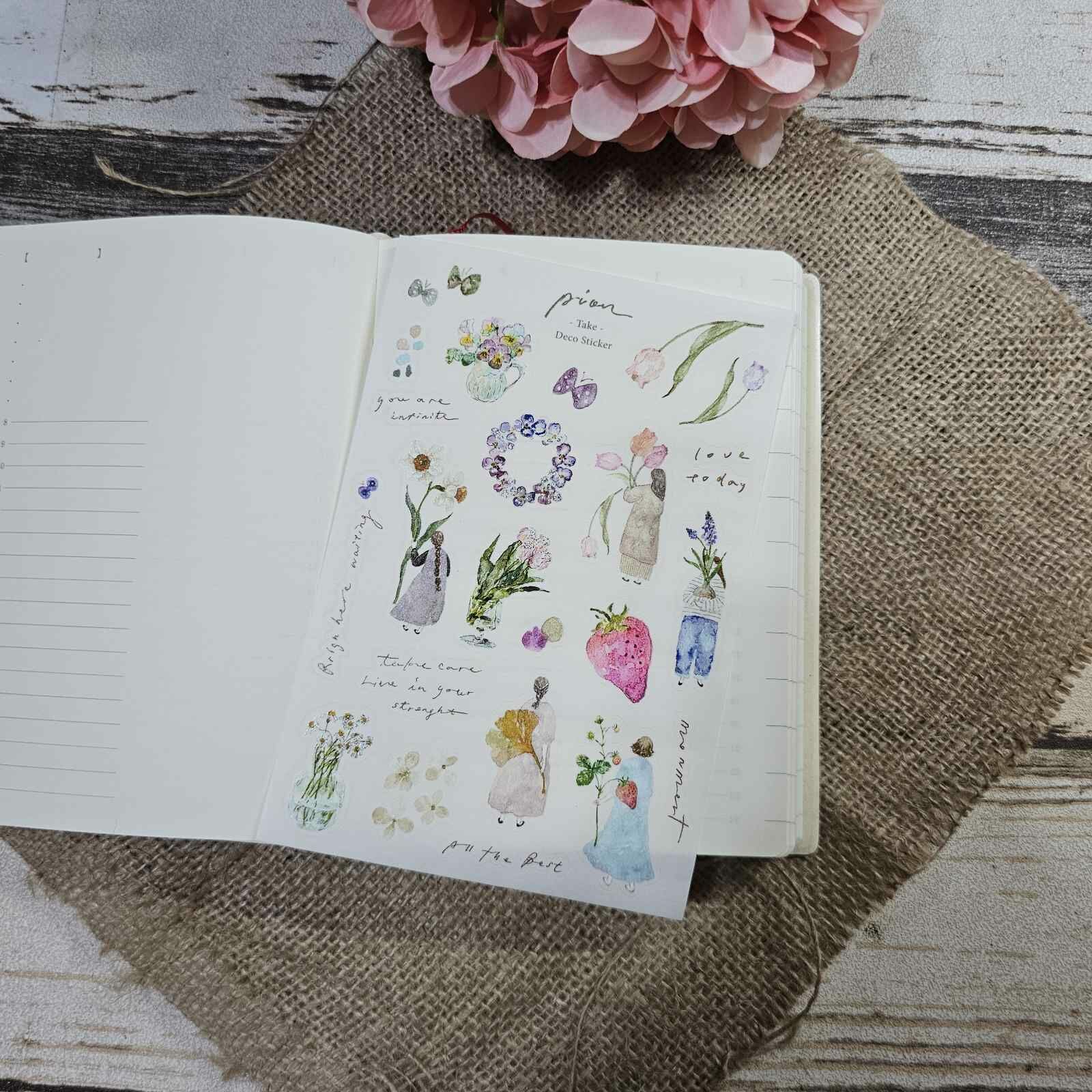 Pion Transfer Stickers - Take