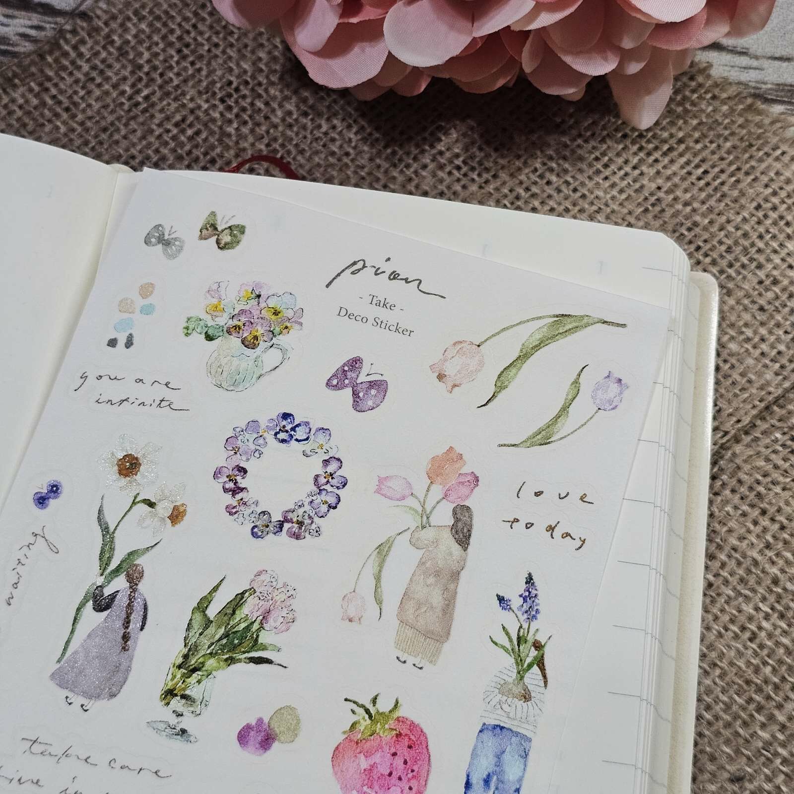 Pion Transfer Stickers - Take